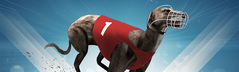codigo promocional luckia carrera galgos virtuales